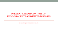Feco-oral dsae (2).pdf